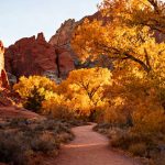 Discover Utah's Hidden Hiking Gem This Fall: snow Canyon State Park Away from Zion Crowds