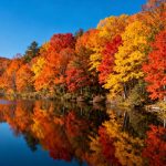 4 US National Parks You Must Visit in Autumn for a Better Experience Than Summer