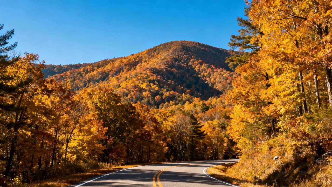 Discover Tennessee: the Hidden Gem for Autumn Mountain Escapes