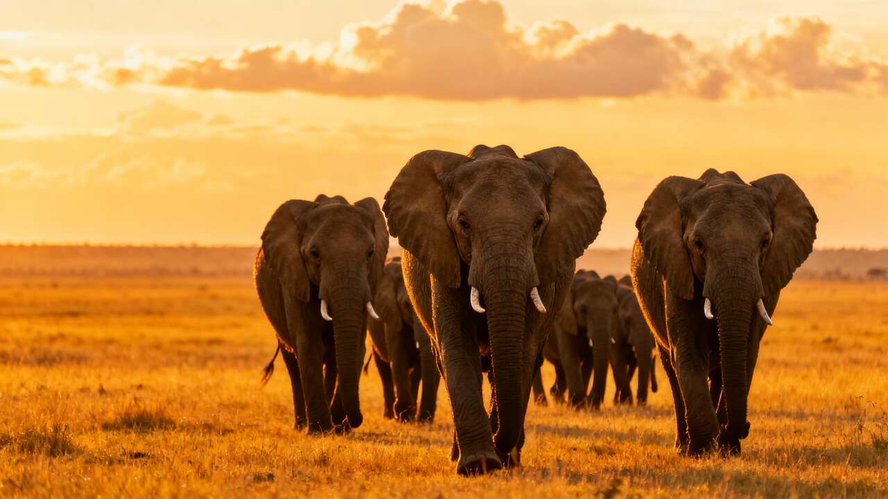 3 incredible African destinations for a guaranteed hot winter holiday